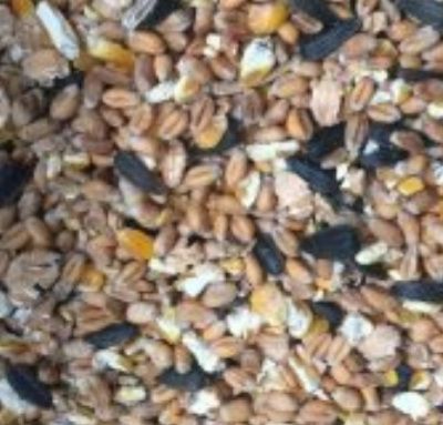 Mixed Corn (plus soya oil)