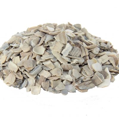 Oyster Shell