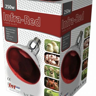 E27 Red heat lamp bulb